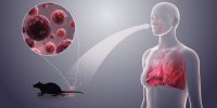 ببینید | ویروسی مرموز در کشتی کروز؛ هانتاویروس چیست؟