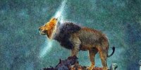 ببینید | پُرتره‌ای از فرمانروای جنگل در زیر باران