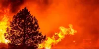 ببینید |  پیشروی آتش‌سوزی به سوی مناطق مسکونی در کالیفرنیا