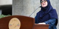 ببینید | مهاجرانی: دیدار رئیس جمهور با رهبری نشانه یکدلی و وحدت است