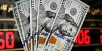 نظر دستیار رئیس کل بانک مرکزی درباره افزایش کنونی قیمت ارز + فیلم