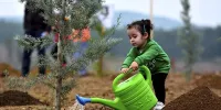 22 بوستان‌ منتخب تهران برای کاشت رایگان نهال+ اسامی
