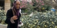 آذر عظیما در سن ۹۹ سالگی درگذشت