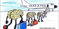 وقتی «فرار مغزها» به سیاست دولت تبدیل می‌شود؛ نسخه جدید یک کشور برای اشتغال