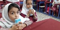 «تغذیه رایگان» جایگزین برنامه شیر مدارس شد/ انتخاب ۴ قلم غذایی مغذی