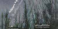 «آنچه می‌روید» به باگالری رسید؛ وفادار به بی‌نظمی جهان