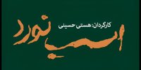 «اسب نورد» ۸ تیر به تالار قشقایی می رسد؛ تاریخ آغاز پیش فروش بلیت