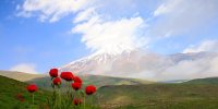 نوروز تنها یک شروع تقویمی نیست؛ لحظه‌ای است برای ایستادن، اندیشیدن و انتخاب کردن/ در دل سختی زندگی باید ادامه یابد و آغازی برای خلق وضعیتی دیگر شود