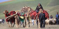 از «علف» تا یونسکو؛ این کوچ جهانی می‌شود