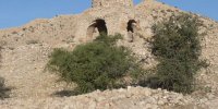 ماجرای دزدی ستون های آتشکده ساسانی