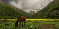 از آبشارهای پنهان تا دشت‌های مرتفع؛ در فصل گرما کجا آب و هوا تازه کنیم؟/ معرفی ۶ مقصد بکر و خنک اطراف تهران