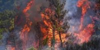 آتش‌سوزی در منطقه حفاظت شده خائیز بهبهان