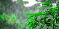 بارش شدید باران تابستانی در مشهد