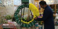 آماده‌سازی گل‌های ضریح حرم بانوی کرامت به مناسبت ولادت پیامبر(ص)