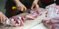 قیمت جدید دام‌زنده امروز ۱۰ فروردین ۱۴۰۵/ پوریان: گوشت ۷۵۰ هزار تومانی در بازار موجود شد