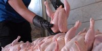 نیازی به توزیع گوشت و مرغ تنظیم بازاری نیست