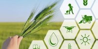 اعلام ضریب امنیت غذایی در ایران/ چقدر از  مواد غذایی مورد نیاز در ایران تولید می‌شود؟