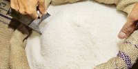 آغاز توزیع شکر با نرخ جدید/ پایان کمبودهای مقطعی در بازار