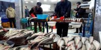 قیمت انواع ماهی در هفته پایانی خردادماه/ این ماهی کیلویی ۹۹۰ هزار تومان قیمت خورد