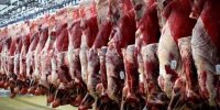 قیمت جدید دام زنده اعلام شد/ پوریان: منتظر این تغییر مهم قیمتی در بازار گوشت باشید