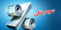 نرخ سود بر اساس ریسک بانک‌ها تعیین می‌شود؟