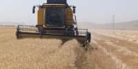 پرداخت‌ها به گندم‌کاران وارد فاز جدید شد