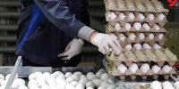 دومین تغییر قیمت تخم‌مرغ در ۸ روز/ قیمت‌های جدید اعلام شد