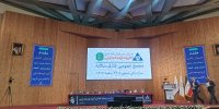 رشد ۴۳ درصدی سود تلفیقی گروه توسعه ملی/ ارزش بازار وبانک به رتبه پنجم رسید