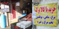 خبر مهم وزیر جهاد کشاورزی درباره کالابرگ