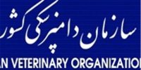هرگونه کشتار و عرضه گوشت الاغ و اسب تخلف است