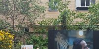 بزرگداشت محمودرضا بهمن‌پور: از خاطرات فرشید مثقالی تا قول دخترش برای روشن نگه داشتن چراغ نشر