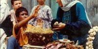 «باشو غریبه کوچک» راهی مونیخ می‌شود
