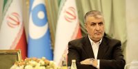 پیام رئیس سازمان انرژی اتمی در پی شهادت دکتر خرازی: وی از چهره‌های برجسته و اثرگذار عرصه سیاست خارجی ایران بود