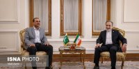دیدار عاصم منیر با عراقچی