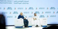 قرقاش: پزشکیان منطقی‌ترین مواضع را در میان مقام‌های ایرانی دارد / آینده منطقه بدون توقف کامل خصومت‌ها و درگیری‌ها ساخته نخواهد شد