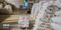 واردات برنج نامرغوب ممنوع شد