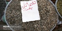 صادرات ۱۵ محصول کشاورزی آزاد شد
