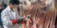 کاهش ۱۱ درصدی عرضه گوشت قرمز در مرداد ۱۴۰۵