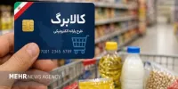 واریز ۱۷ هزار و ۵۶۰ میلیارد تومان به حساب مجری طرح افزایش کالابرگ