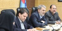 ضرورت حمایت دولت و مجلس از صنعت پتروشیمی