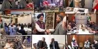 دیپلماسی فعال نفت در حاشیه نشست وزیران انرژی بریکس