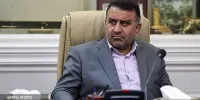 تنوع‌بخشی به سبد سوخت ضروری است