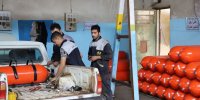 ۶۰۰ خودروی پرپیمایش در دو هفته دوگانه‌سوز شدند