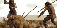 برملا شدن راز بزرگ ۲۰۰ هزار سال پیش | ناپدید شدن حیوانات عظیم‌الجثه، چطور ذهن انسان را هوشمندتر کرد؟