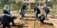 در قلب شهر تهران صاحب‌ مرزعه‌ شخصی شوید
