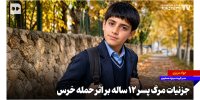 جزئیات مرگ پسر دوازده ساله بر اثر حمله خرس + ویدئو