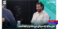 چای ماچا چه مزه‌ای می‌دهد و از کجا آمده؟