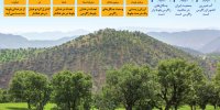 هشدار برای قلب سبز زاگرس | نماد تاب‌ وری ایران زیر سایه خشکسالی و بهره ‌برداری+ اینفوگرافیک