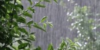 رگبارهای غافلگیرکننده در راه این استانها |  الگوی بارشی بهاری دوباره فعال شد