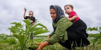 تغییر در بیمه روستاییان و عشایر، دهک‌های ۶ تا ۱۰ برای تمدید اقدام کنند | نظام ارجاع در این سه شهر تهران آغاز شده است